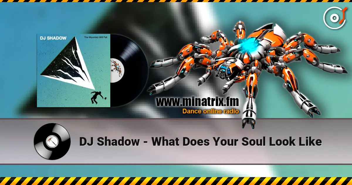 DJ Shadow - What Does Your Soul Look Like listen online in high quality | Minatrix.FM