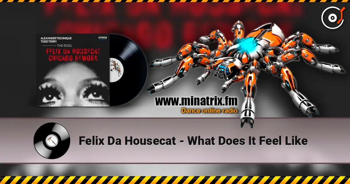 Felix Da Housecat - What Does It Feel Like слухати онлайн у високій якості | Minatrix.FM