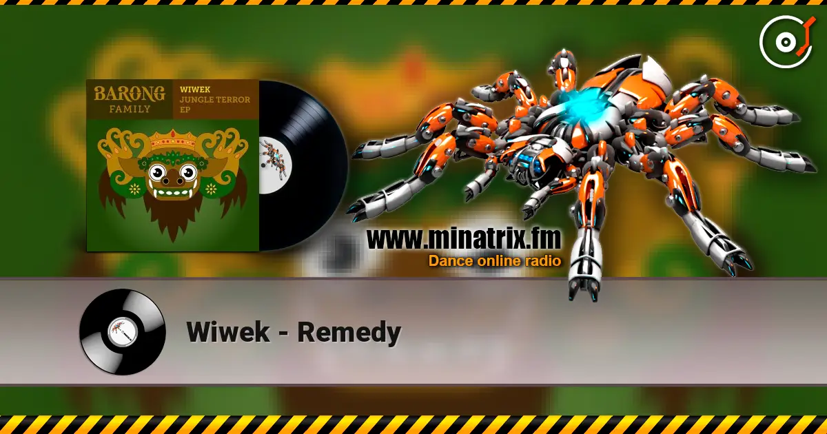 Wiwek - Remedy listen online in high quality | Minatrix.FM