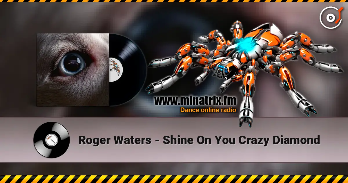 Roger Waters - Shine On You Crazy Diamond listen online in high quality | Minatrix.FM