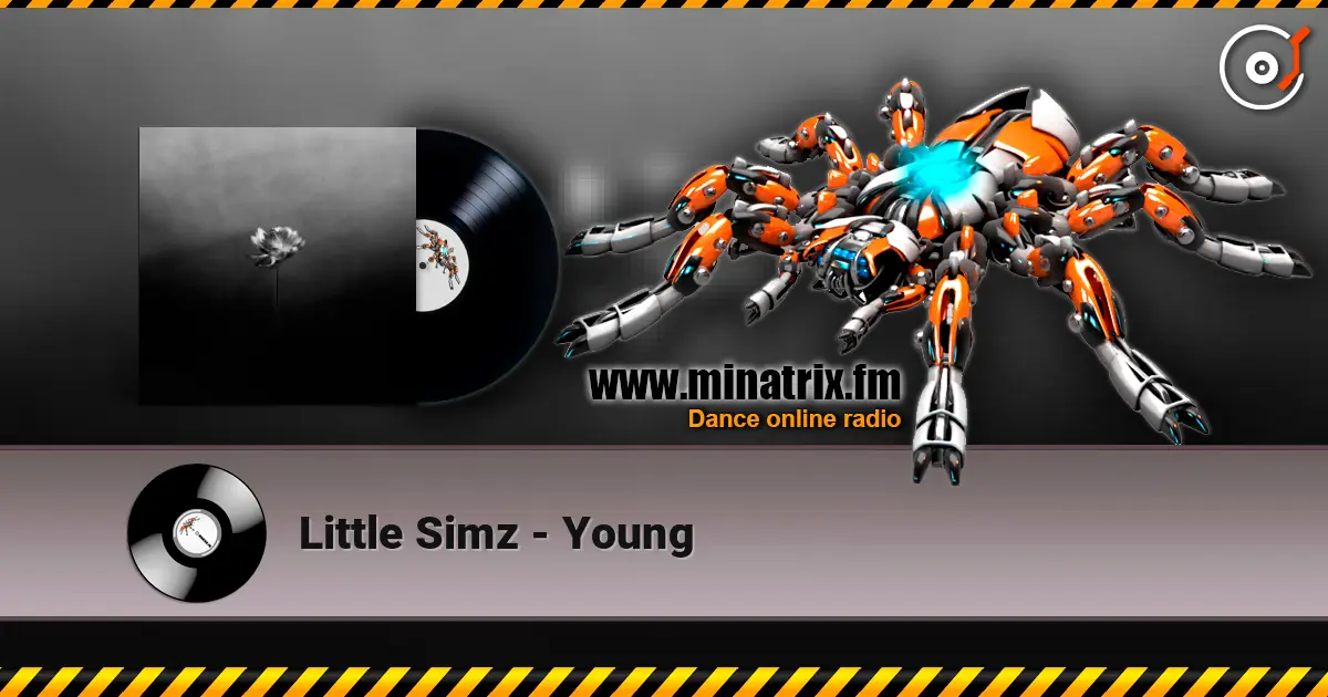 Little Simz - Young слухати онлайн у високій якості | Minatrix.FM