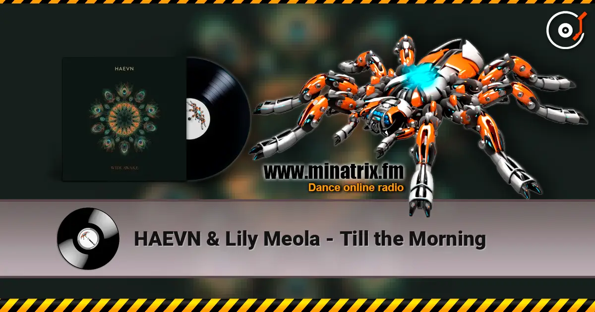 HAEVN & Lily Meola - Till the Morning слухати онлайн у високій якості | Minatrix.FM