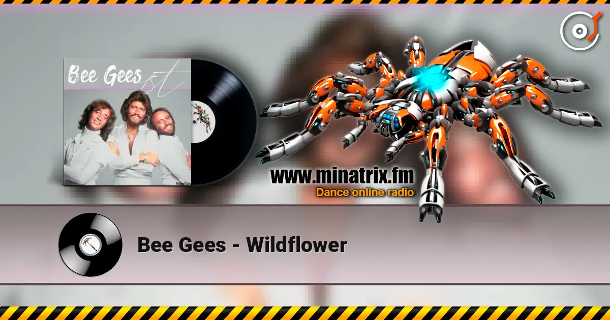 Bee Gees - Wildflower слухати онлайн у високій якості | Minatrix.FM