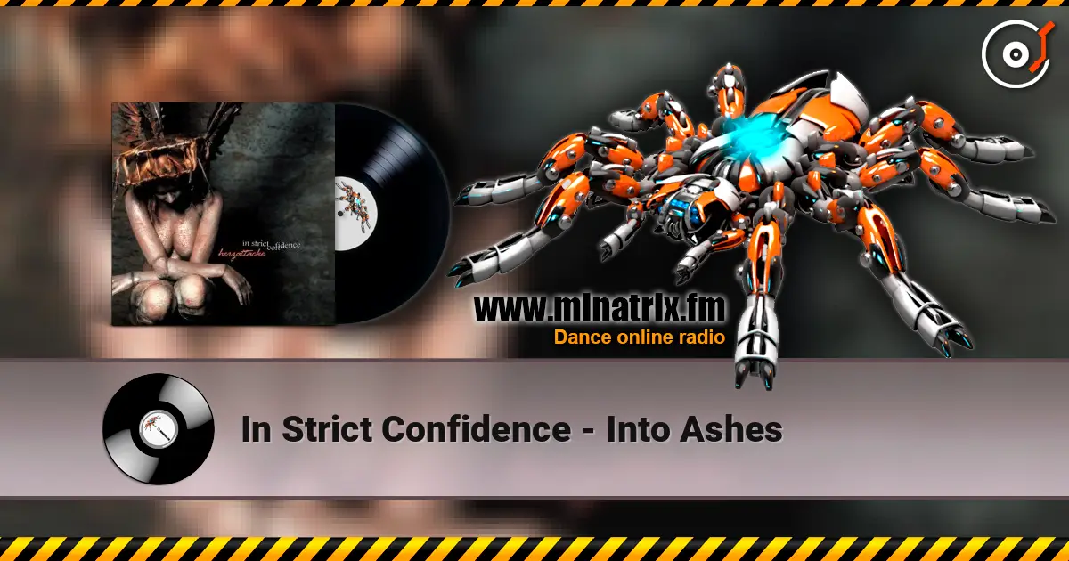 In Strict Confidence - Into Ashes слухати онлайн у високій якості | Minatrix.FM