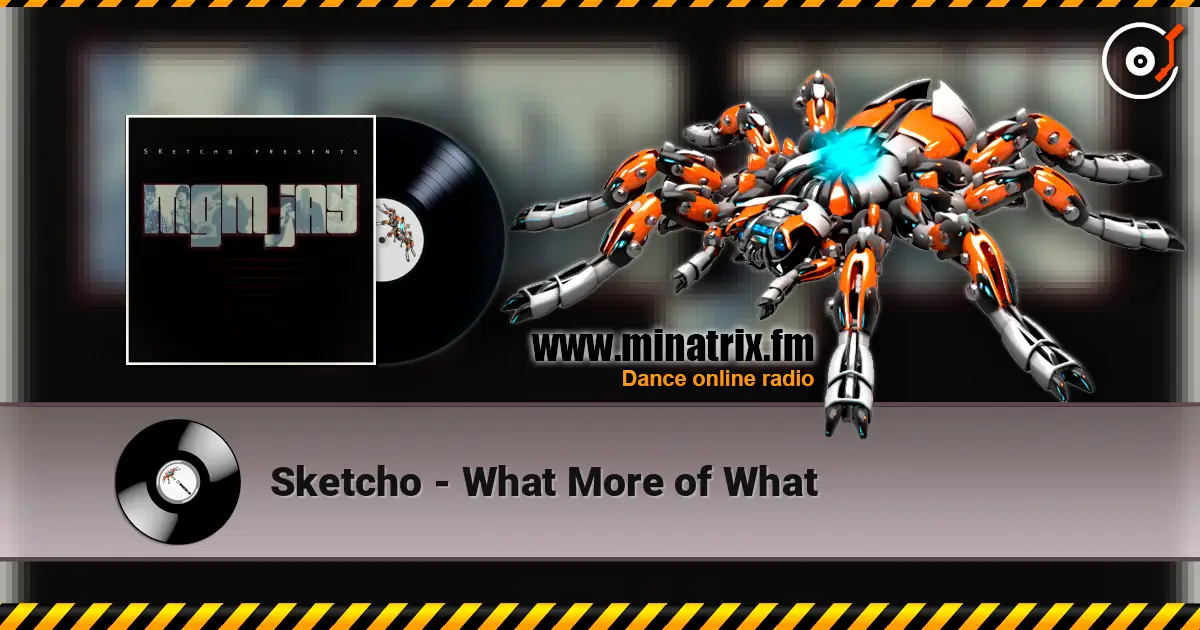 Sketcho - What More of What listen online in high quality | Minatrix.FM