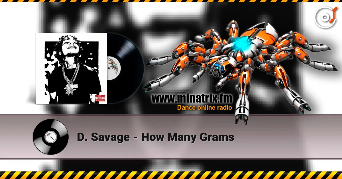 D. Savage - How Many Grams listen online in high quality | Minatrix.FM
