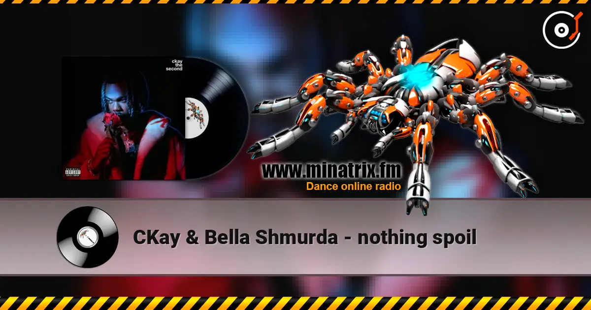 CKay & Bella Shmurda - nothing spoil слухати онлайн у високій якості | Minatrix.FM