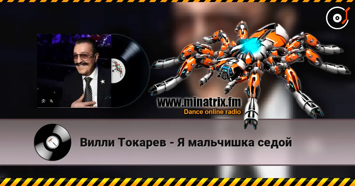 Вилли Токарев - Я мальчишка седой слухати онлайн у високій якості | Minatrix.FM