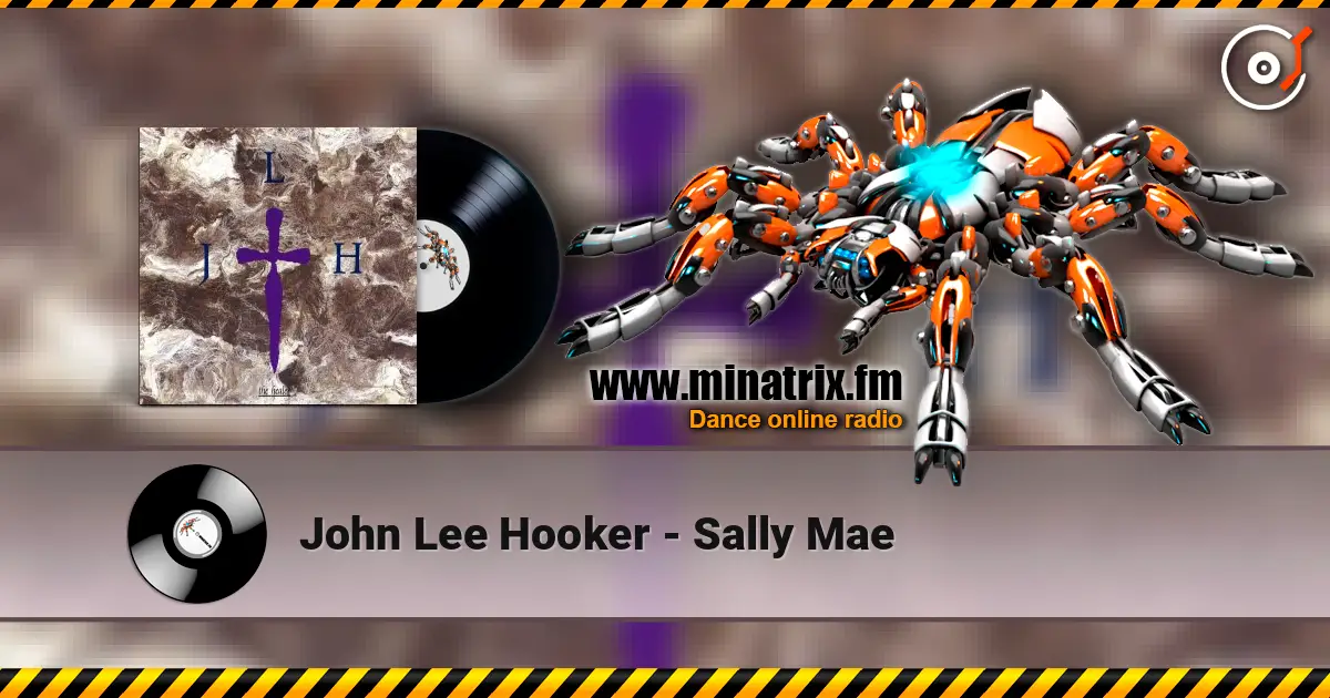 John Lee Hooker - Sally Mae слухати онлайн у високій якості | Minatrix.FM