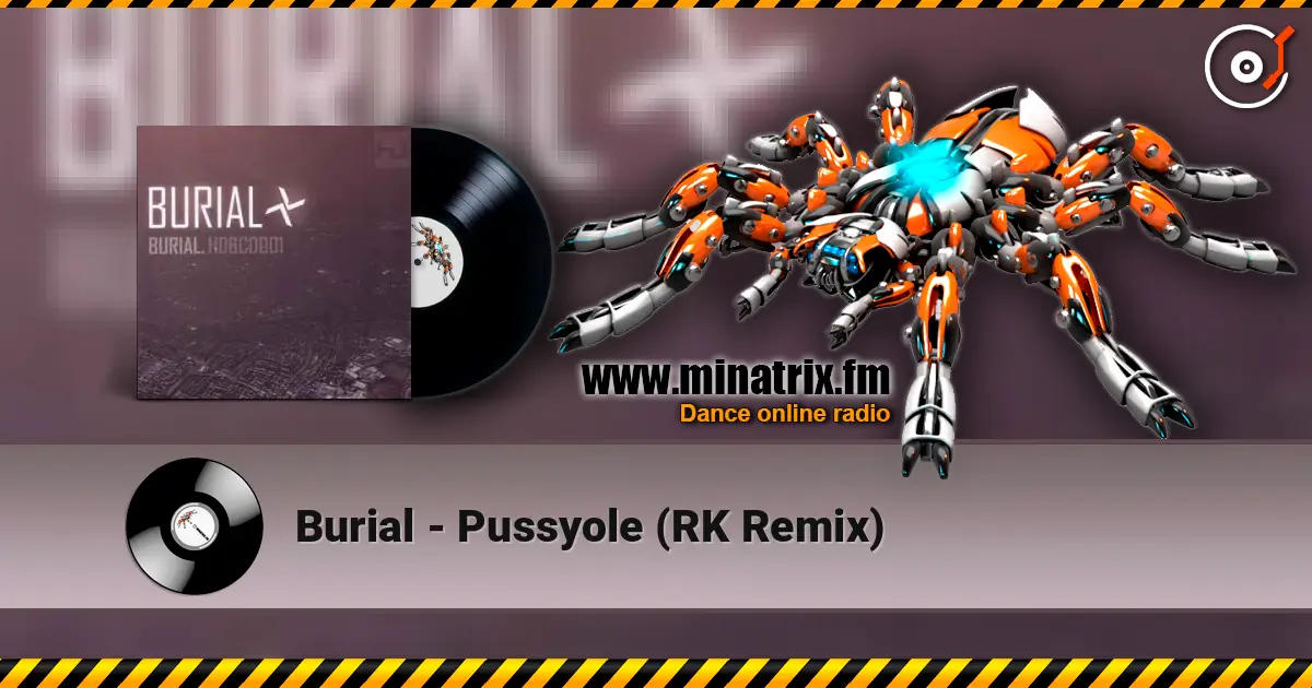 Burial - Pussyole (RK Remix) listen online in high quality | Minatrix.FM