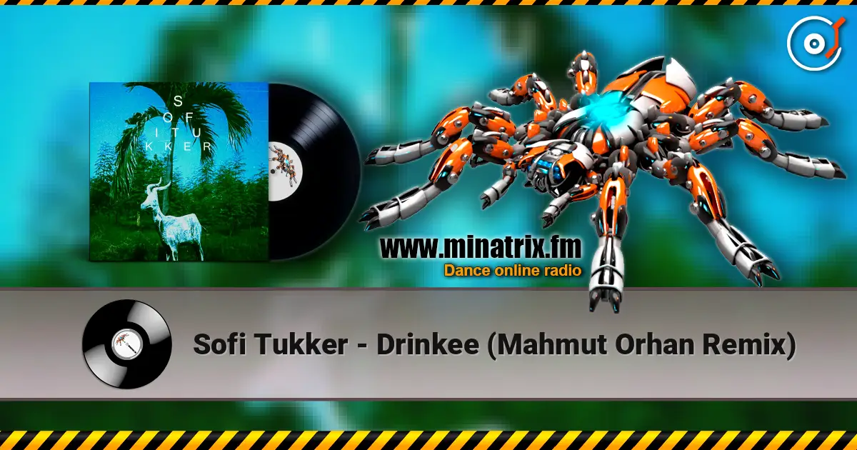Sofi Tukker - Drinkee (Mahmut Orhan Remix) listen online in high quality | Minatrix.FM