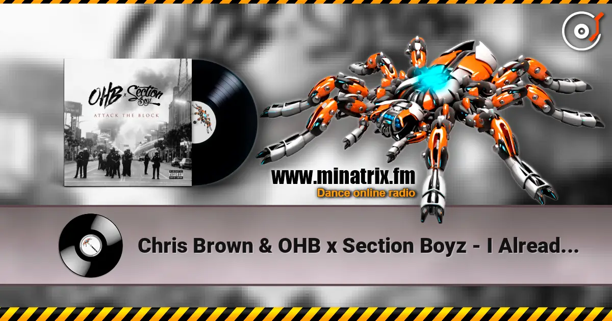 Chris Brown & OHB x Section Boyz - I Already Love Her (feat. Ray J) listen online in high quality | Minatrix.FM