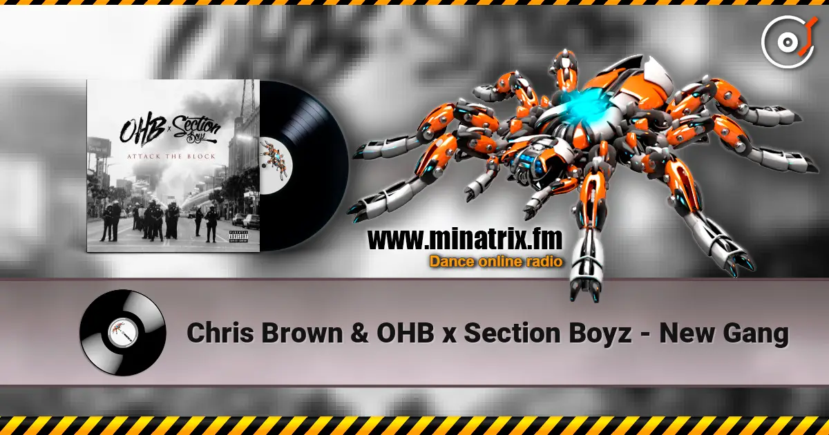 Chris Brown & OHB x Section Boyz - New Gang listen online in high quality | Minatrix.FM