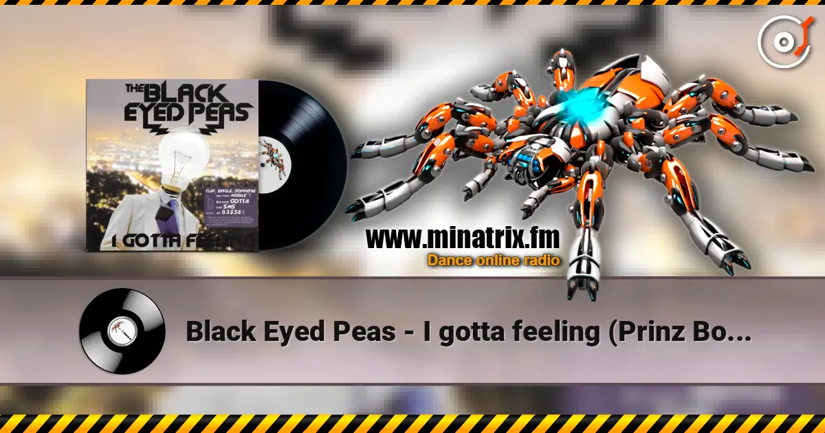 Black Eyed Peas - I gotta feeling (Prinz Board vs Zuper Blahq remix) listen online in high quality | Minatrix.FM