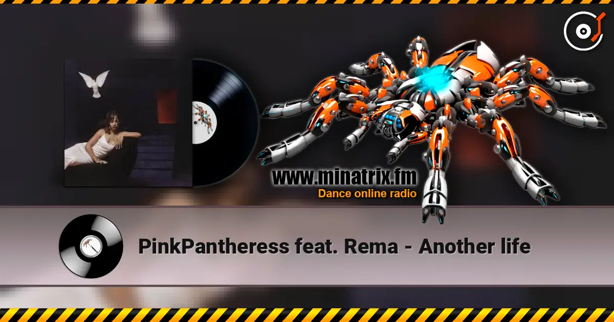 PinkPantheress feat. Rema - Another life слухати онлайн у високій якості | Minatrix.FM