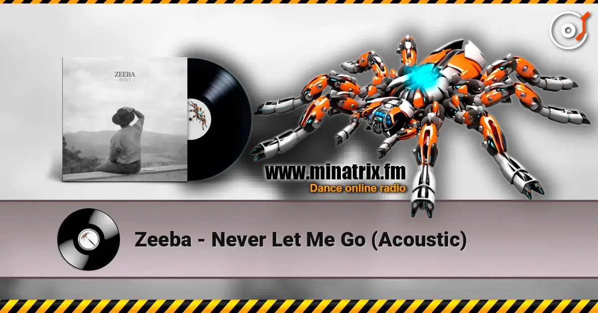 Zeeba - Never Let Me Go (Acoustic) слухати онлайн у високій якості | Minatrix.FM