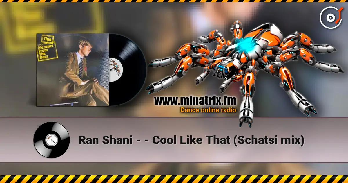 Ran Shani - - Cool Like That (Schatsi mix) слухати онлайн у високій якості | Minatrix.FM