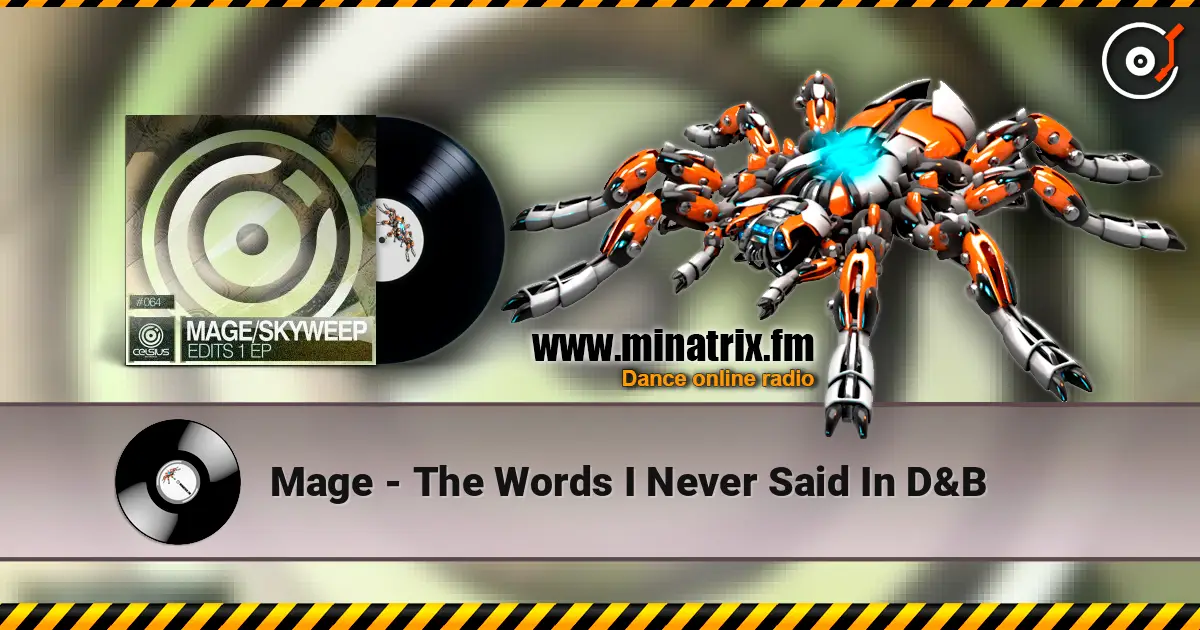 Mage - The Words I Never Said In D&B listen online in high quality | Minatrix.FM