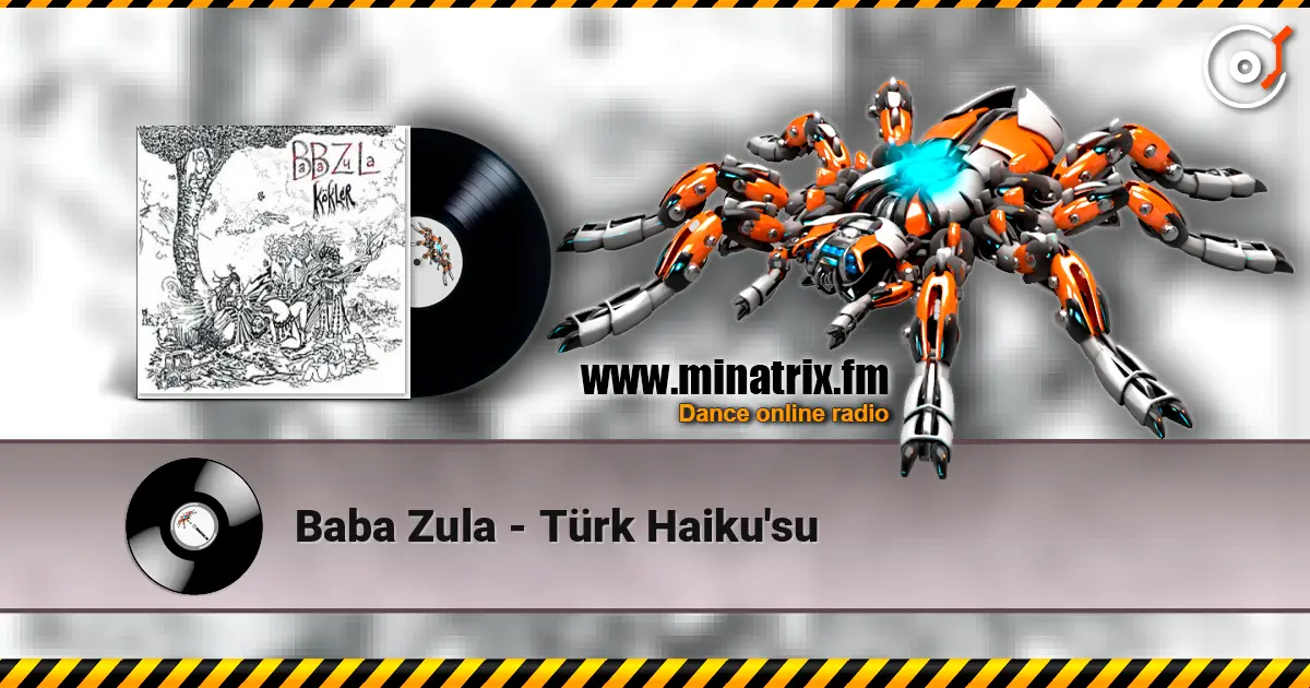 Baba Zula - Türk Haiku'su listen online in high quality | Minatrix.FM
