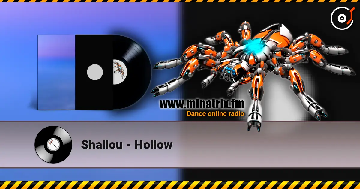 Shallou - Hollow слухати онлайн у високій якості | Minatrix.FM