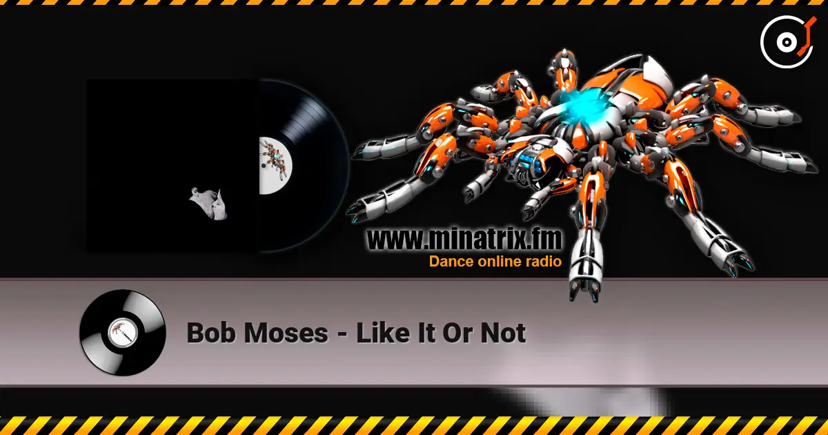 Bob Moses - Like It Or Not listen online in high quality | Minatrix.FM