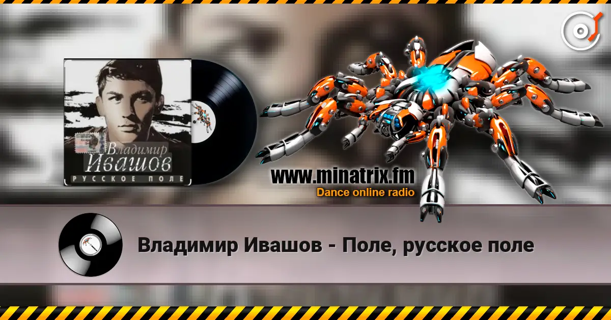 Владимир Ивашов - Поле, русское поле listen online in high quality | Minatrix.FM