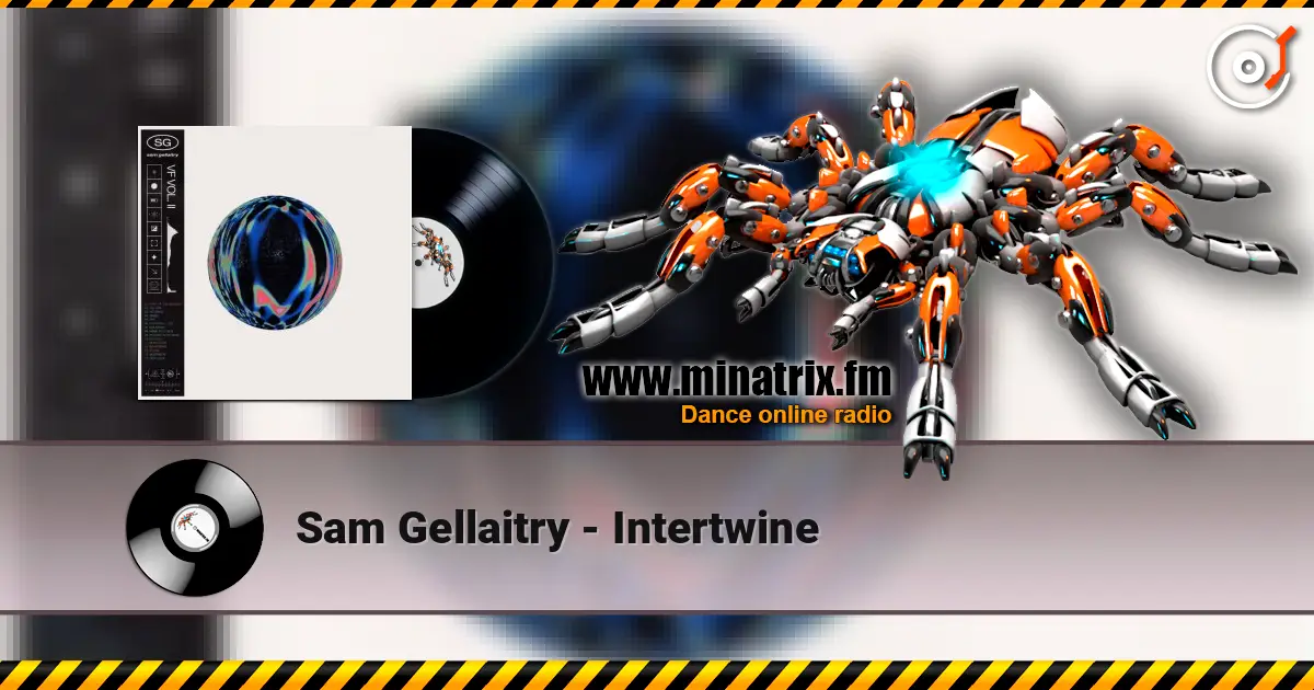 Sam Gellaitry - Intertwine слухати онлайн у високій якості | Minatrix.FM