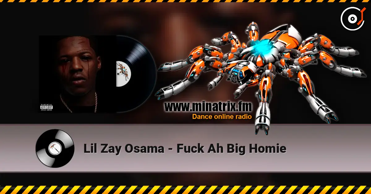 Lil Zay Osama - Fuck Ah Big Homie listen online in high quality | Minatrix.FM