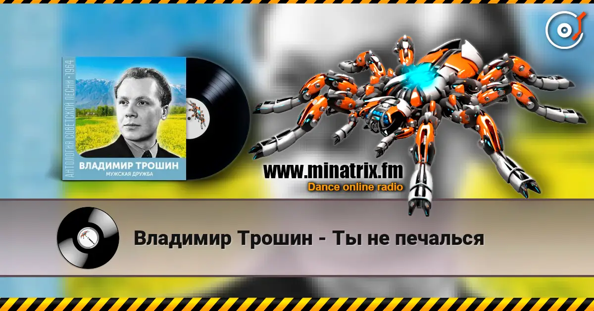 Владимир Трошин - Ты не печалься слухати онлайн у високій якості | Minatrix.FM