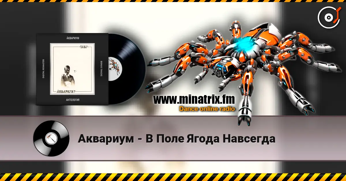 Аквариум - В Поле Ягода Навсегда слухати онлайн у високій якості | Minatrix.FM