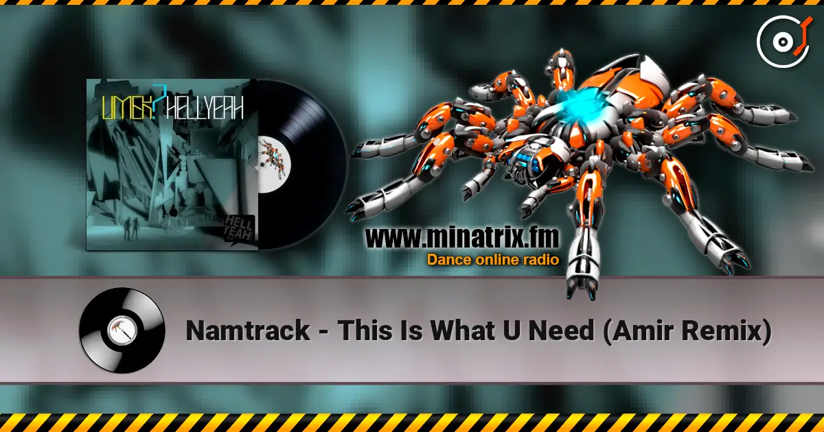 Namtrack - This Is What U Need (Amir Remix) listen online in high quality | Minatrix.FM