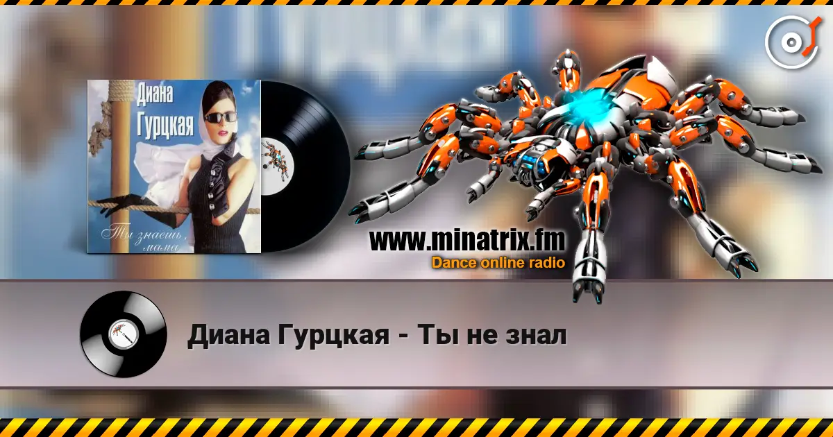 Диана Гурцкая - Ты не знал listen online in high quality | Minatrix.FM