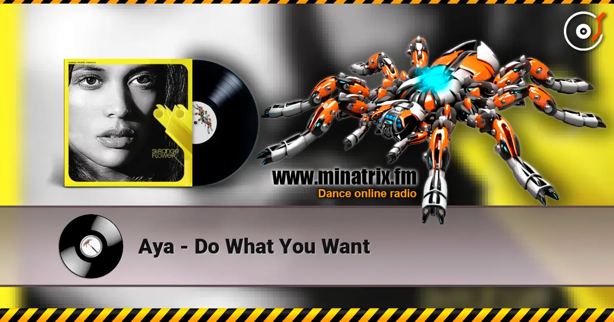 Aya - Do What You Want listen online in high quality | Minatrix.FM