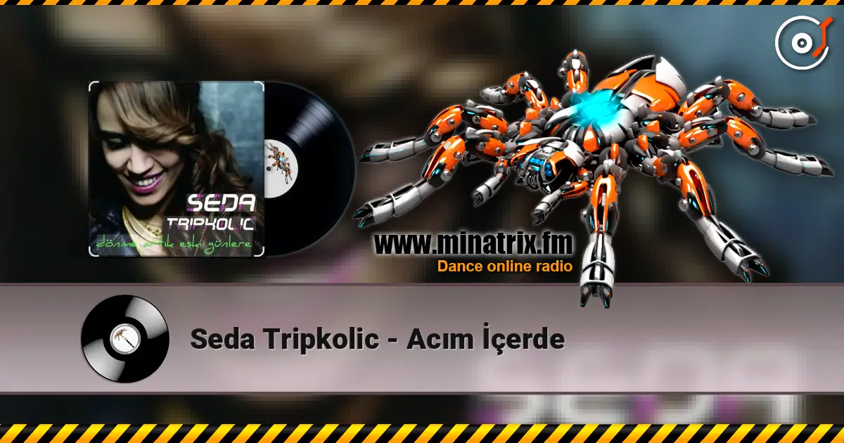 Seda Tripkolic - Acım İçerde слухати онлайн у високій якості | Minatrix.FM