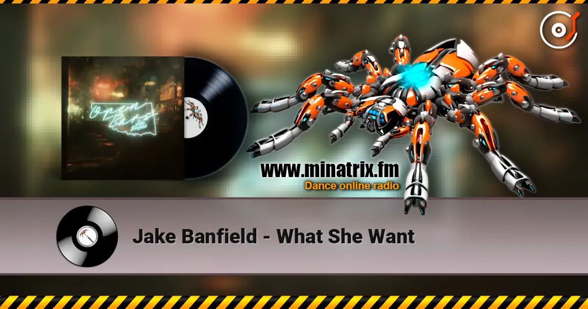 Jake Banfield - What She Want listen online in high quality | Minatrix.FM