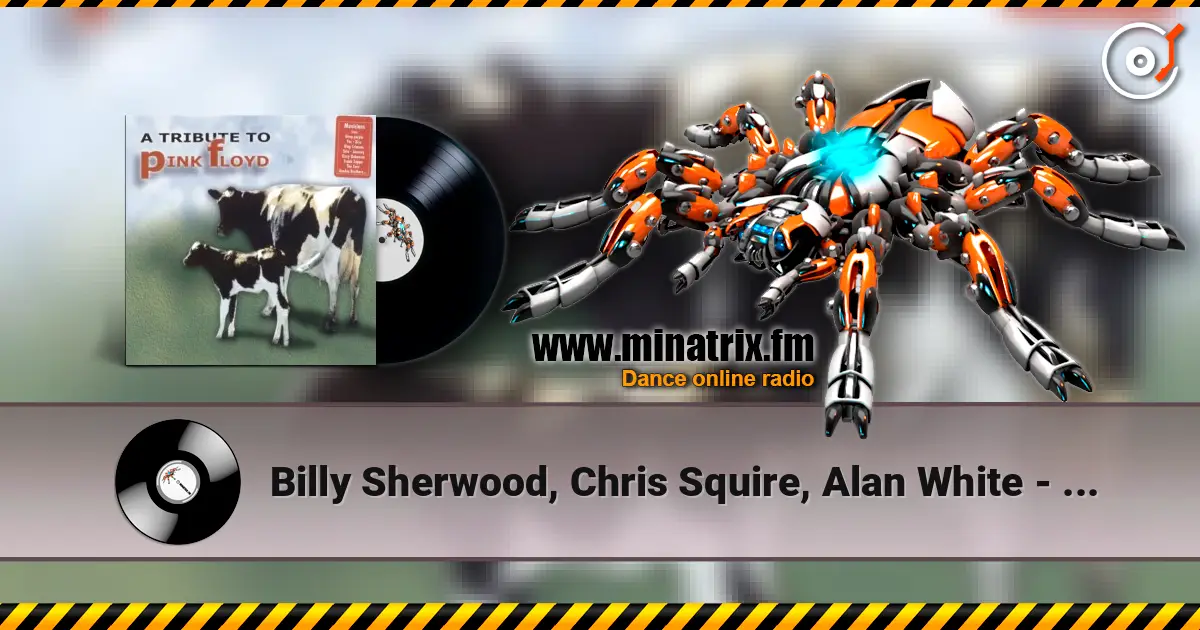 Billy Sherwood, Chris Squire, Alan White - Comfortably Numb listen online in high quality | Minatrix.FM