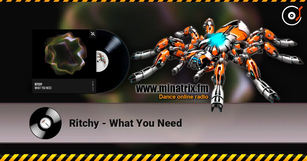 Ritchy - What You Need слухати онлайн у високій якості | Minatrix.FM