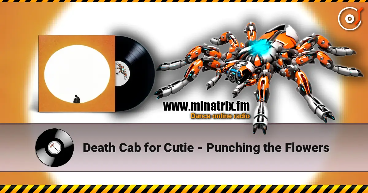Death Cab for Cutie - Punching the Flowers listen online in high quality | Minatrix.FM