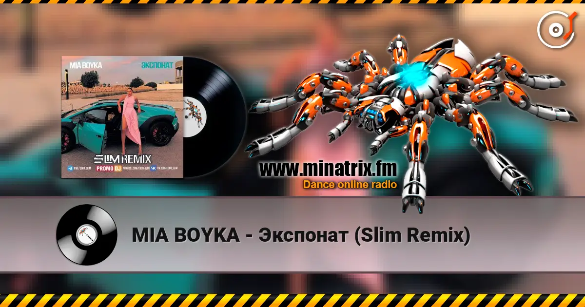 MIA BOYKA - Экспонат (Slim Remix) listen online in high quality | Minatrix.FM