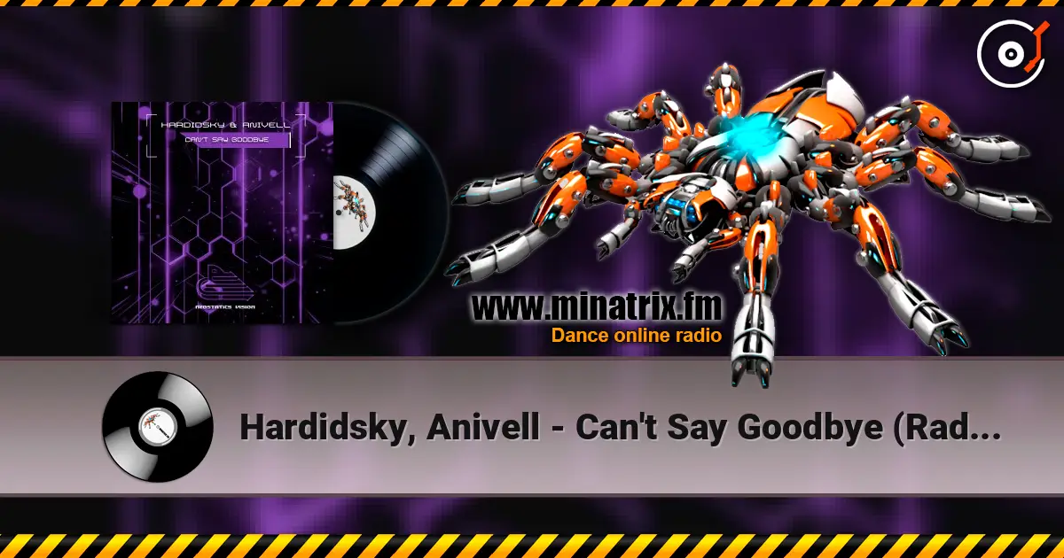 Hardidsky, Anivell - Can't Say Goodbye (Radio Mix) 高品质在线收听 | Minatrix.FM
