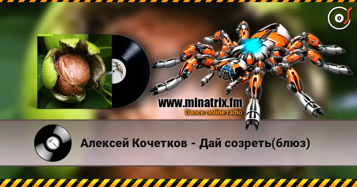 Алексей Кочетков - Дай созреть(блюз) 高品质在线收听 | Minatrix.FM