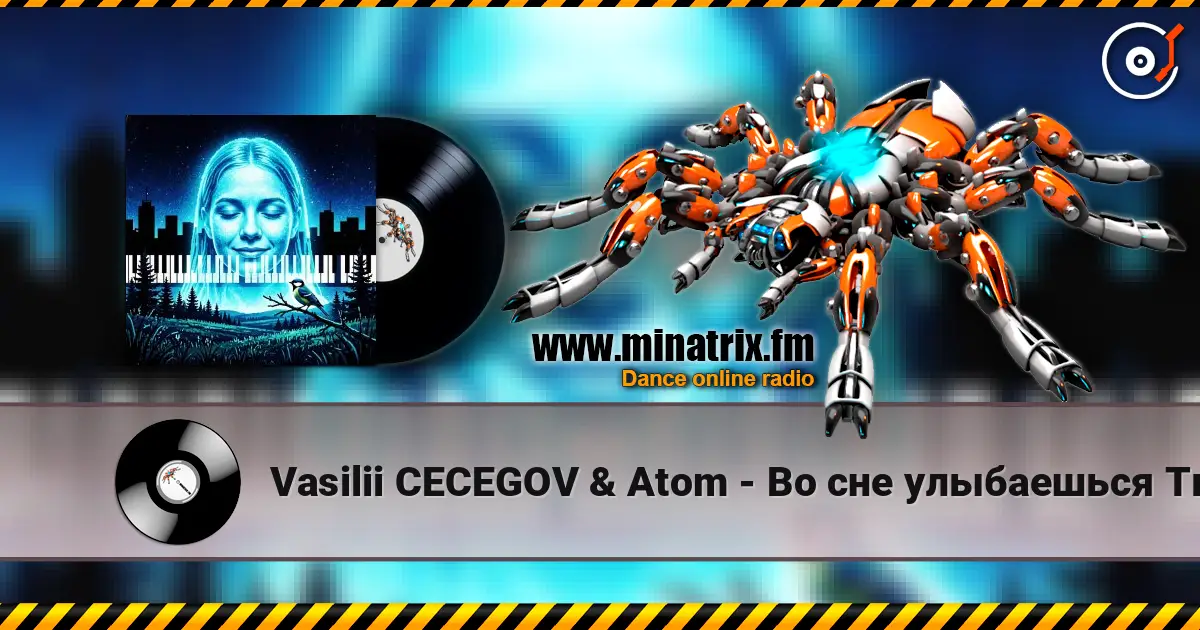 Vasilii CECEGOV & Atom - Во сне улыбаешься Ты 高品质在线收听 | Minatrix.FM