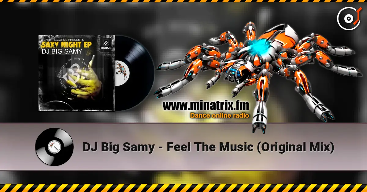 DJ Big Samy - Feel The Music (Original Mix) 高品质在线收听 | Minatrix.FM