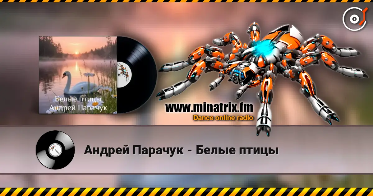 Андрей Парачук - Белые птицы 高品质在线收听 | Minatrix.FM