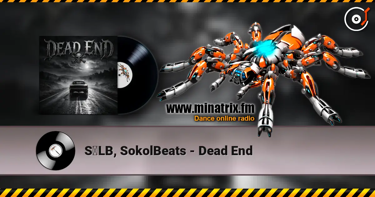 S₭LB, SokolBeats - Dead End 高品质在线收听 | Minatrix.FM