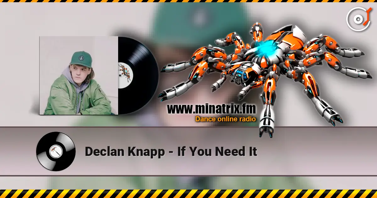 Declan Knapp - If You Need It 高品质在线收听 | Minatrix.FM